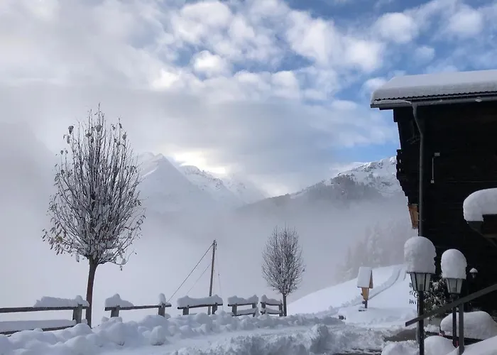Ferienhof-oberer-gollmitzer-2-5-km-oberhalb-von-heiligenblut-ruhige-sonnige-lage-glocknerblick *